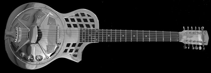 12 String Slideguitar