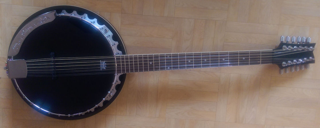 12 String Banjo